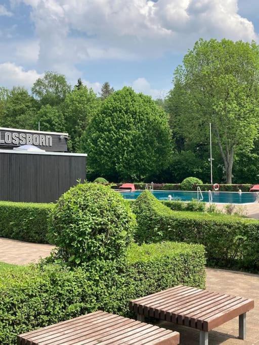 Apartment Mit Wintergarten Und Terrasse In Ruhiger Lage Im Schoenen Taunus Glashutten  Exterior foto